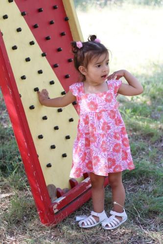 VH_433A1045_resultat